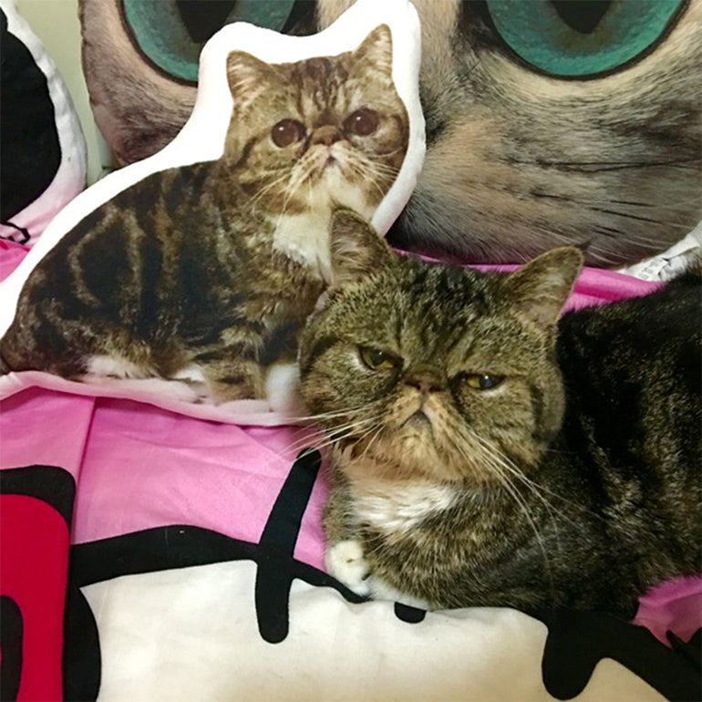 Customize Irregular Pillow Pet Pillow Customize Irregular Pillow Pet Pillow